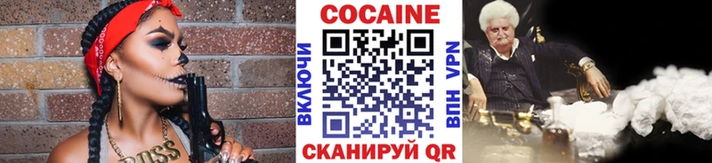 Cocaine FishScale  купить наркоту  Дудинка 