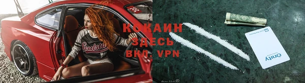 кокс Алзамай